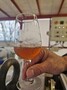 Filtration du cidre